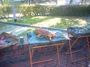 Suckling_pig