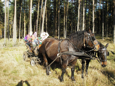 Kutsche_im_Herbst