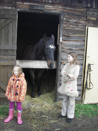 Lariano2