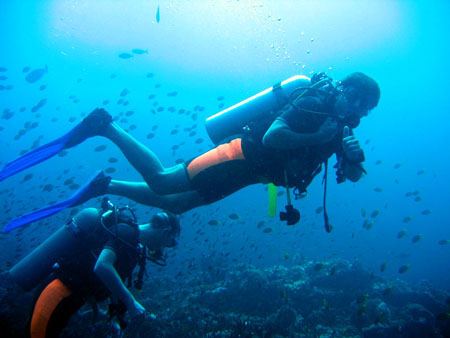 diving_philipines1