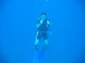 Diving_Philipines2