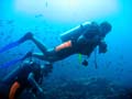 diving_philipines1