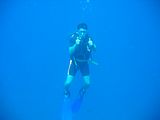 Diving_2
