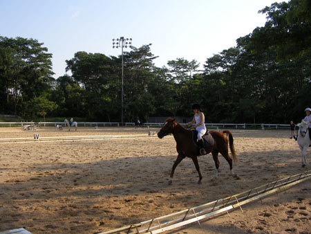HorseAction