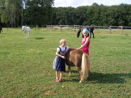 Horsefarm