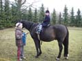 HorseRidingLesson