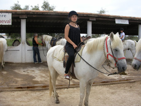 Camarque_horse